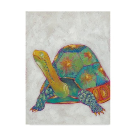 Chariklia Zarris 'Turtle Friends Ii' Canvas Art,18x24